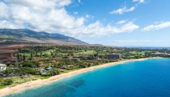 46  Iwa Pl , Kaanapali home - photo 4 of 47