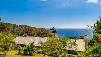 46142  Hana Hwy Hwy Mu'olea, Hana home - photo 4 of 44