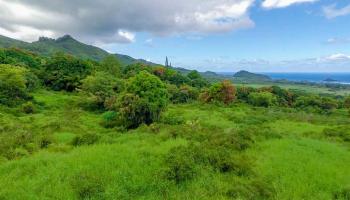 467 Kapia Rd Hana, Hi 96713 vacant land - photo 5 of 22