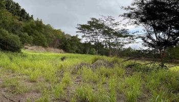 468 Maukele Pl  Wailuku, Hi vacant land for sale - photo 6 of 9