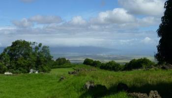 4690 Kula Hwy Kula, Hi 96790 vacant land - photo 5 of 11