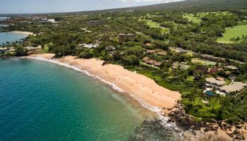 4690  Makena Rd Poolenalena, Wailea/Makena home - photo 2 of 30