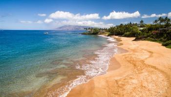 4690 Makena Rd Poolenalena, Wailea/Makena home - photo 5 of 30