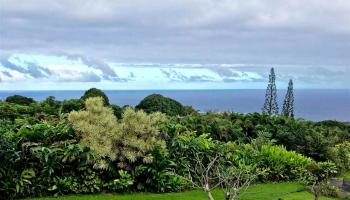 470 Waiohonu Rd Maka'alae, Hana home - photo 4 of 30 470 Waiohonu Rd Maka'alae, Hana home - photo 4 of 30
