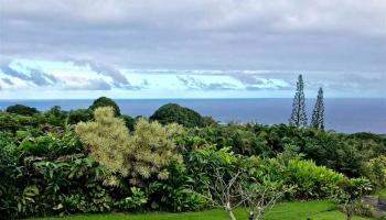 470  Waiohonu Rd Maka'alae, Hana home - photo 4 of 30