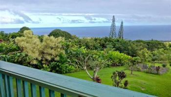 470 Waiohonu Rd Maka'alae, Hana home - photo 5 of 30