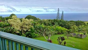 470  Waiohonu Rd Maka'alae, Hana home - photo 5 of 30