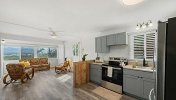 Puuone Gardens condo # 13, Wailuku, Hawaii - photo 1 of 30