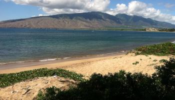 472  Kaiola Pl Kaiola Oceanside, Kihei home - photo 5 of 6