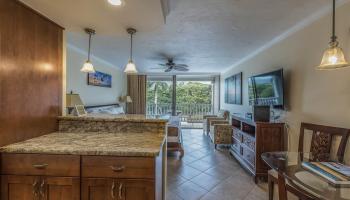 Lahaina Shores condo # 208, Lahaina, Hawaii - photo 4 of 30