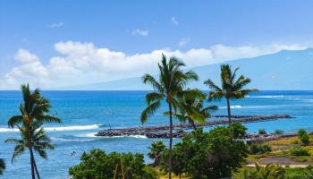 Lahaina Shores condo # 534, Lahaina, Hawaii - photo 1 of 35