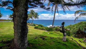 47640  Hana Hwy , Hana home - photo 2 of 30