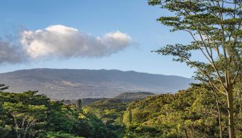 480 Kuiaha Rd  Haiku, Hi vacant land for sale - photo 2 of 28