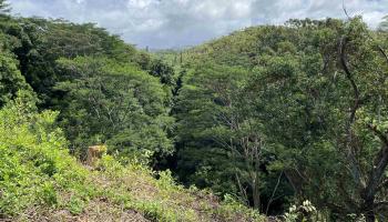 480 Kuiaha Rd  Haiku, Hi vacant land for sale - photo 3 of 28