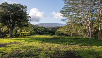 480 Kuiaha Rd  Haiku, Hi vacant land for sale - photo 4 of 28