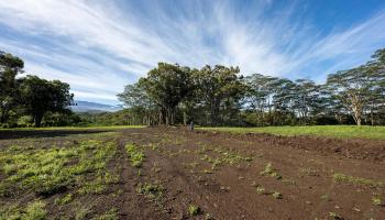 480 Kuiaha Rd  Haiku, Hi vacant land for sale - photo 5 of 28