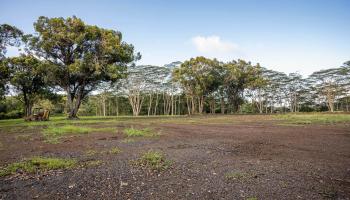 480 Kuiaha Rd  Haiku, Hi vacant land for sale - photo 6 of 28