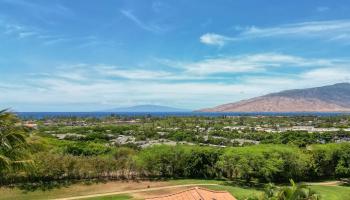 Hokulani Golf Villas condo # 127, Kihei, Hawaii - photo 1 of 30