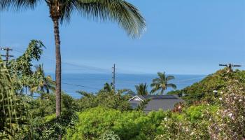 484  Hoala Dr Maui Meadows, Maui Meadows home - photo 3 of 50