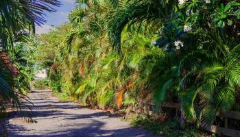 484  Kaiola Pl Central Kihei, Kihei home - photo 2 of 15