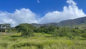 487 Haniu St 4 Lahaina, Hi vacant land for sale - photo 5 of 30