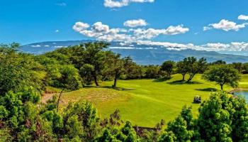 49  Kamaiki Cir Maui Lani Island & Bluffs, Kahului home - photo 2 of 30