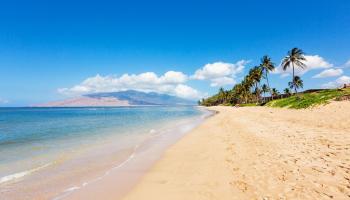 Waiohuli Beach Hale condo # 211, Kihei, Hawaii - photo 2 of 30