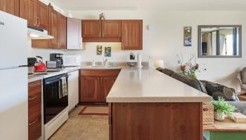 Milowai condo # 104, Wailuku, Hawaii - photo 3 of 47