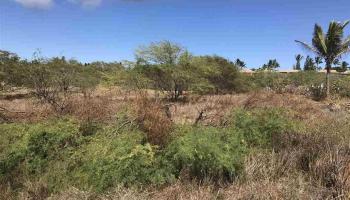 50 Kaiaka Rd Lot #10 Maunaloa, Hi vacant land for sale - photo 2 of 8