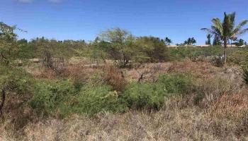 50 Kaiaka Rd Lot #10 Maunaloa, Hi vacant land for sale - photo 4 of 8