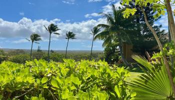 Ke Nani Kai condo # 117, Maunaloa, Hawaii - photo 1 of 24