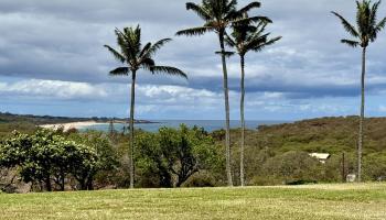 Ke Nani Kai condo # 122, Maunaloa, Hawaii - photo 1 of 39