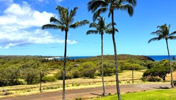 Ke Nani Kai condo # 213, Maunaloa, Hawaii - photo 1 of 25