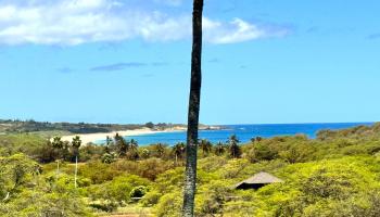 Ke Nani Kai condo # 213, Maunaloa, Hawaii - photo 2 of 25