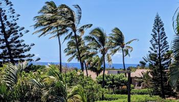Ke Nani Kai condo # 238, Maunaloa, Hawaii - photo 1 of 45