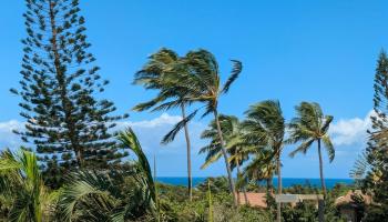 Ke Nani Kai condo # 238, Maunaloa, Hawaii - photo 2 of 45