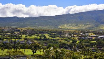 Kaanapali Alii condo # 1-801, Lahaina, Hawaii - photo 5 of 43