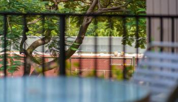 Kaanapali Alii condo # 2306, Lahaina, Hawaii - photo 2 of 18