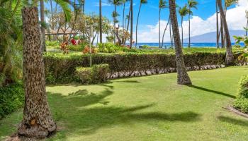 Kaanapali Alii condo # 3-102, Lahaina, Hawaii - photo 1 of 43