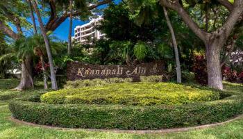 Kaanapali Alii condo # I-801, Lahaina, Hawaii - photo 4 of 27