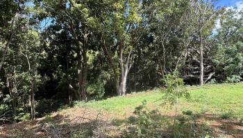 50 Pauwela Rd Unit B Haiku, Hi vacant land for sale - photo 4 of 9