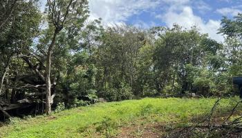 50 Pauwela Rd Unit B Haiku, Hi vacant land for sale - photo 5 of 9