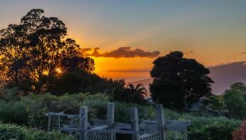 50  Poha Pl , Makawao/Olinda/Haliimaile home - photo 2 of 50