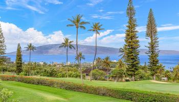 Masters condo # 1004, Lahaina, Hawaii - photo 6 of 38