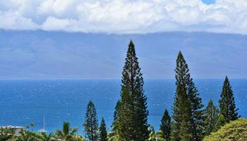 Masters condo # 2206, Lahaina, Hawaii - photo 6 of 50