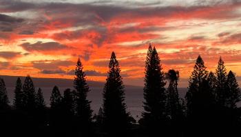 Masters condo # 2304, Lahaina, Hawaii - photo 3 of 44