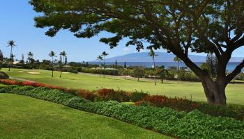 Masters condo # 3105, Lahaina, Hawaii - photo 3 of 30