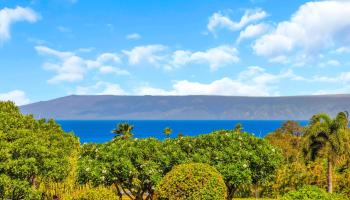 Masters condo # 4203, Lahaina, Hawaii - photo 3 of 48
