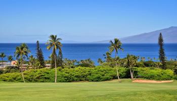 Masters condo # 703, Lahaina, Hawaii - photo 6 of 48