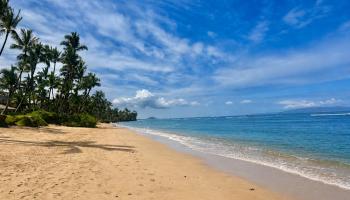 Boardwalk condo # E, Kihei, Hawaii - photo 1 of 27